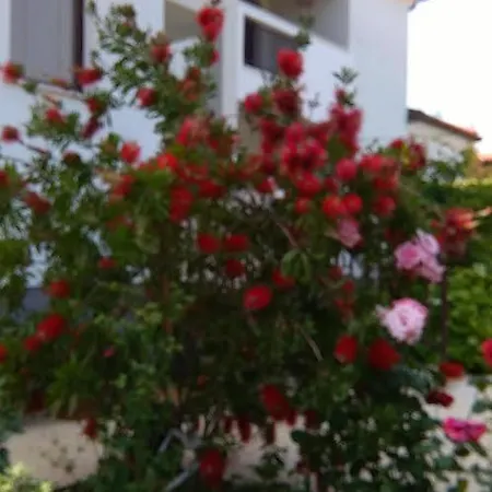 Istra
